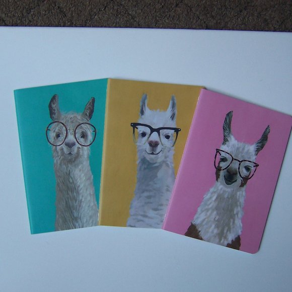 OCS DESIGNS "Bespectacled Llamas" 3-Pack Journals - Picture 2 of 8